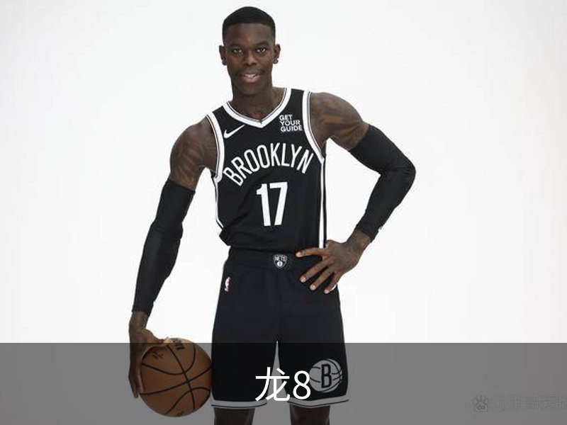 关于龙8